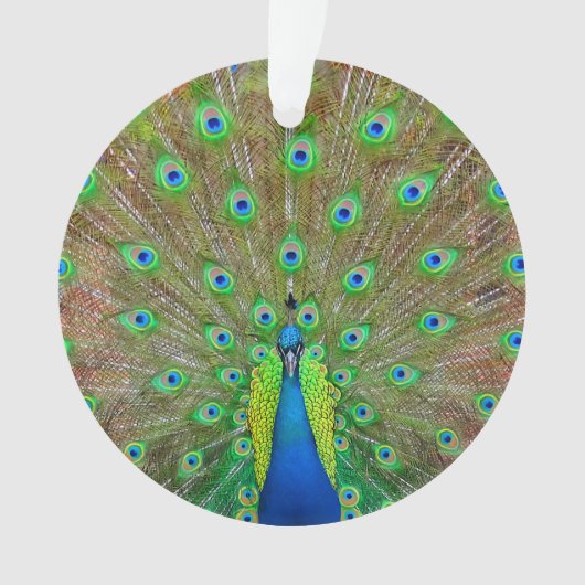 ブルーピーコック#3オーナメント オーナメント (正面)