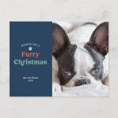 ブルーファーリークリスマスペット シーズンポストカード (正面)