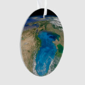 ブルーフィトプランクトン開花インザブラックシー オーナメント (正面)