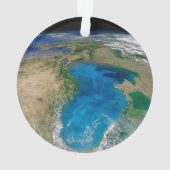 ブルーフィトプランクトン開花インザブラックシー オーナメント (裏面)