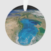 ブルーフィトプランクトン開花インザブラックシー オーナメント (正面)