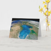 ブルーフィトプランクトン開花インザブラックシー カード (黄色い花)