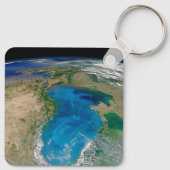 ブルーフィトプランクトン開花インザブラックシー キーホルダー (裏面)