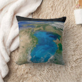 ブルーフィトプランクトン開花インザブラックシー クッション (ブランケット)