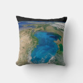 ブルーフィトプランクトン開花インザブラックシー クッション (正面)