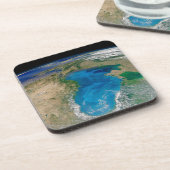 ブルーフィトプランクトン開花インザブラックシー コースター (左側)