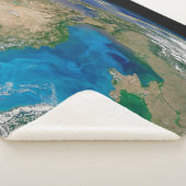 ブルーフィトプランクトン開花インザブラックシー シェルパブランケット (3/4)