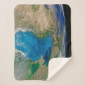 ブルーフィトプランクトン開花インザブラックシー シェルパブランケット (正面)