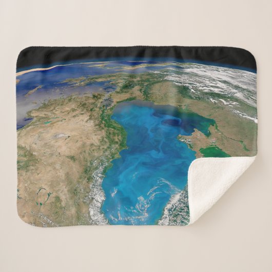 ブルーフィトプランクトン開花インザブラックシー シェルパブランケット (正面(横))