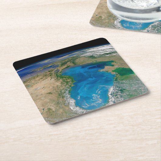 ブルーフィトプランクトン開花インザブラックシー スクエアペーパーコースター (アングル)