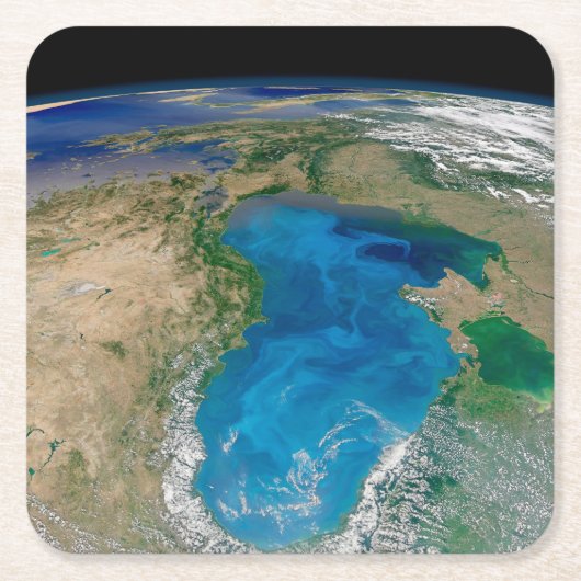 ブルーフィトプランクトン開花インザブラックシー スクエアペーパーコースター (正面)