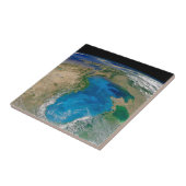 ブルーフィトプランクトン開花インザブラックシー タイル (側面)