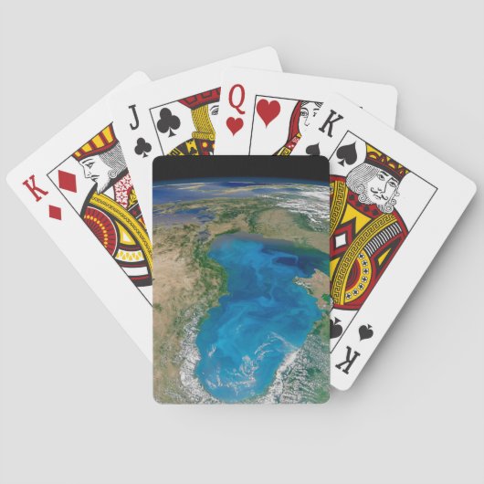 ブルーフィトプランクトン開花インザブラックシー トランプ (裏面)