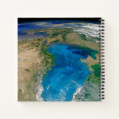 ブルーフィトプランクトン開花インザブラックシー ノートブック (裏面)