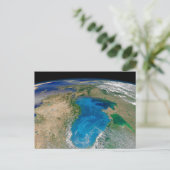 ブルーフィトプランクトン開花インザブラックシー ポストカード (スタンド正面)