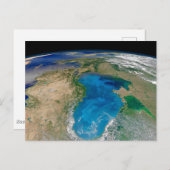 ブルーフィトプランクトン開花インザブラックシー ポストカード (正面/裏面)