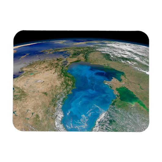 ブルーフィトプランクトン開花インザブラックシー マグネット (横)