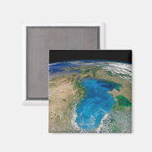 ブルーフィトプランクトン開花インザブラックシー マグネット (正面/裏面)