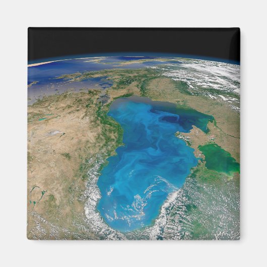 ブルーフィトプランクトン開花インザブラックシー マグネット (正面)