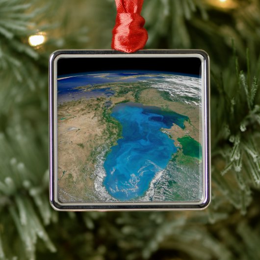 ブルーフィトプランクトン開花インザブラックシー メタルオーナメント (ツリー)