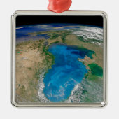 ブルーフィトプランクトン開花インザブラックシー メタルオーナメント (正面)