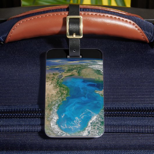 ブルーフィトプランクトン開花インザブラックシー ラゲッジタグ (正面インサイチュ2)