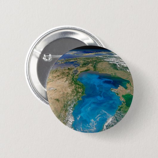 ブルーフィトプランクトン開花インザブラックシー 缶バッジ (正面&裏面)