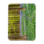 ブルーフォレストの春 マグネット (縦)