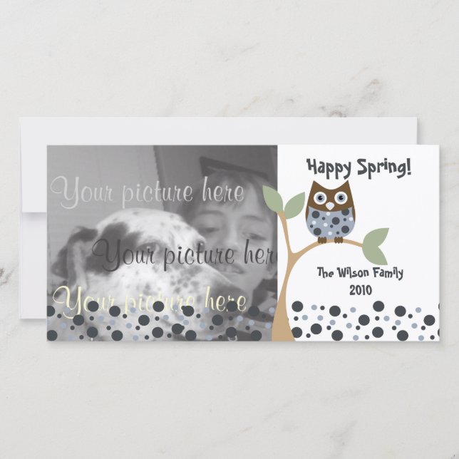 ブルーフクロウベビー (正面)