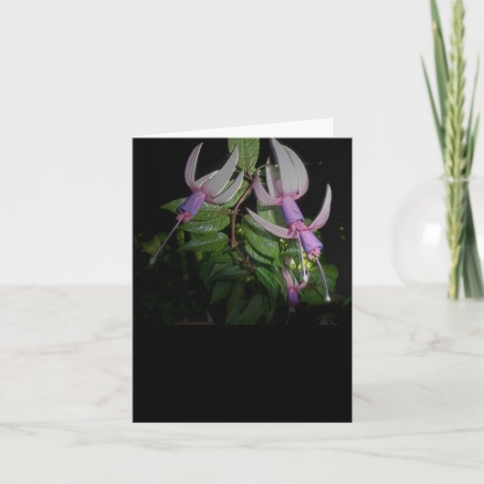 ブルーフシアノートカード シーズンカード (正面)