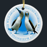 ブルーフットブビーバーズガラパゴス諸島お土産 セラミックオーナメント<br><div class="desc">ガラパゴス諸島の2つの青い足のブビーオーナメント。青ユニークおっちょこちょいのい足の鳥。ガラパ人気があるゴス諸島の鳥。エクアドルの素晴らしい野生生物の保護区への旅の記念品や記念品。</div>