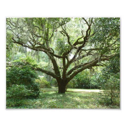 ブルーフトン夏の午後 フォトプリント            (正面)