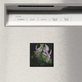 ブルーフューシャ磁石 マグネット (インサイチュ (食洗機))