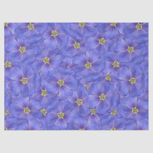 ブルーフラックスシームレスパターン 薄葉紙 (正面)