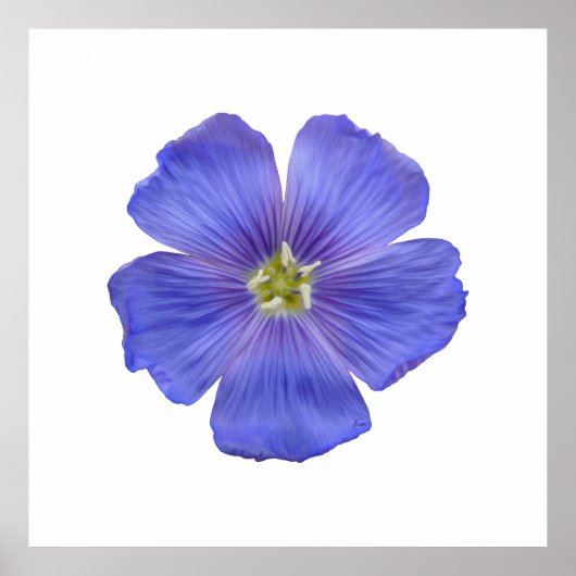 ブルーフラックス#1 ポスター (正面)