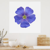 ブルーフラックス#1 ポスター (キッチン)