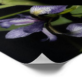 ブルーフラッグアイリスフラワー抽象芸術 ポスター (角)