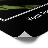 ブルーフラッグアイリス独自の引用文を作成 ポスター (角)