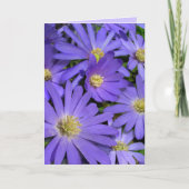 ブルーフラワーカードデイジーグリーティングカー空白のド カード (正面)