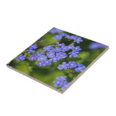 ブルーフラワーズデスティニーピースラブパークつる植物 タイル (側面)