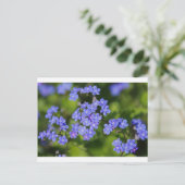 ブルーフラワーズデスティニーピースラブパークつる植物 ポストカード (スタンド正面)