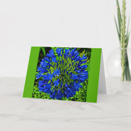 ブルーフラワーボールカード カード