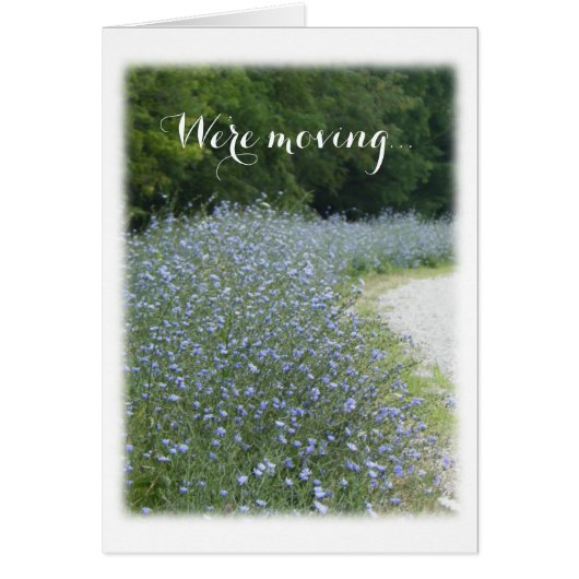 ブルーフラワー発表 (正面)