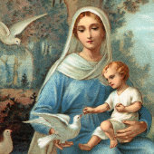 ブルーフランスのマドンナポスター ポスター