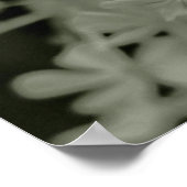 ブルーフロックスPaniculataの白黒の露出 ポスター (角)