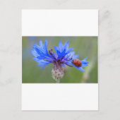 ブルーフロムラディバグピースラブデスティニーアートつる植物 ポストカード (正面)