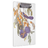 ブルーフロリダスクラブジェイAudubonオレンジと鳥 クリップボード (右)