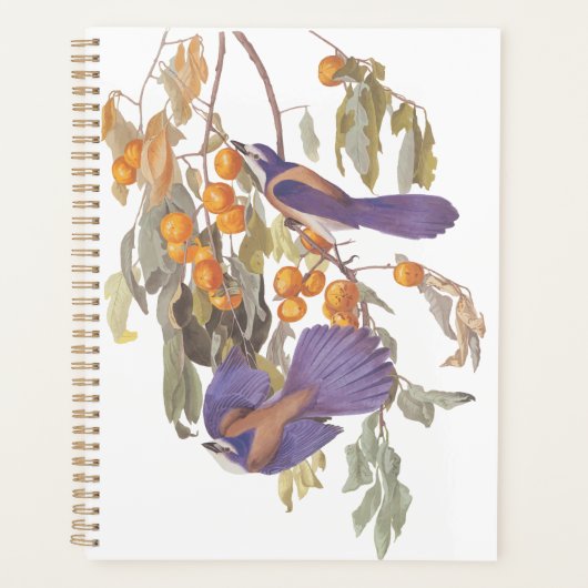 ブルーフロリダスクラブジェイAudubonオレンジと鳥 プランナー手帳 (正面)