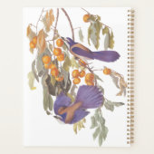 ブルーフロリダスクラブジェイAudubonオレンジと鳥 プランナー手帳 (裏面)