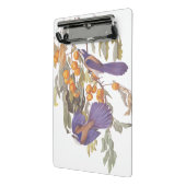 ブルーフロリダスクラブジェイAudubonオレンジと鳥 ミニクリップボード (アングル2)